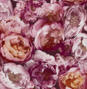 <p>The big blousy florals of <a href="https://go.redirectingat.com?id=127X1599956&url=https%3A%2F%2Fwww.homebase.co.uk%2Fhouse-beautiful-blooming-pink-pop-wallpaper%2F12945377.html&sref=https%3A%2F%2Fwww.housebeautiful.com%2Fuk%2Fhouse-beautiful-collections%2Fg36172810%2Fhomebase-wallpaper%2F" rel="nofollow noopener" target="_blank" data-ylk="slk:Blooming Pink Pop;elm:context_link;itc:0;sec:content-canvas" class="link "><strong>Blooming Pink Pop</strong></a> will be a ravishing addition to your home. The rich colours and flourishing petals will completely transform bland walls, making it a great choice for those who want a grand, flamboyant look.</p>