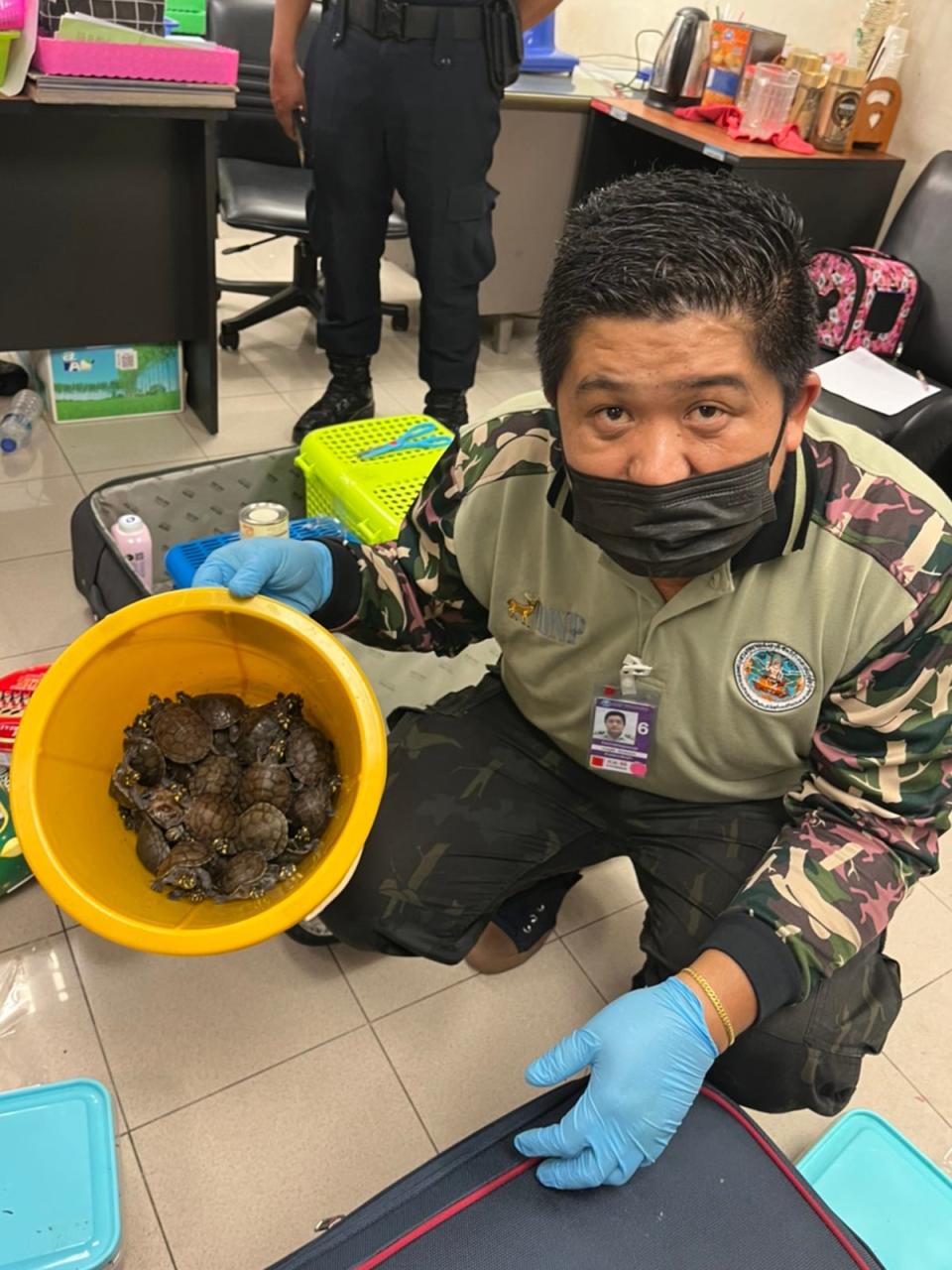 Wildlife official with turtles removed from luggage (Thailand Department of National Parks, Wildlife and Plant Conservation)