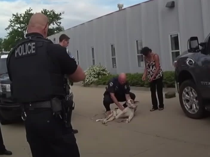 A Loveland police officer lifts the head of Herkimer, a 14-month-old puppy that was shot twice by Officer Matthew Grashorn. The dog’s owner, Wendy Love, stands off to the right.  (screengrab)
