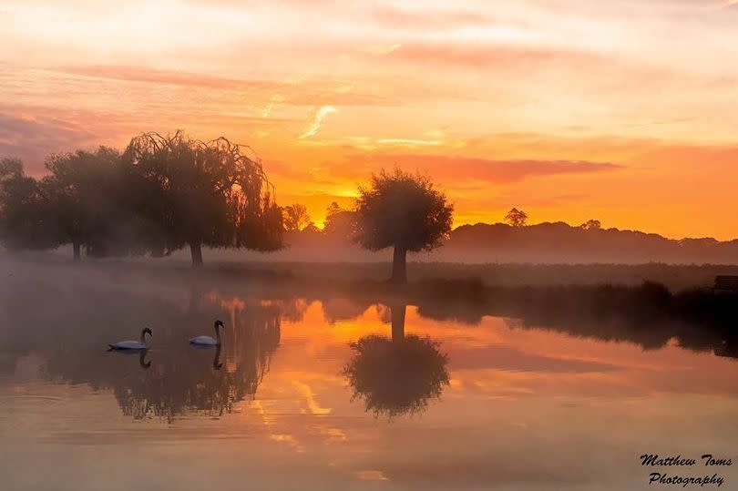 Bushy Park in Richmond -Credit:Matthew Toms