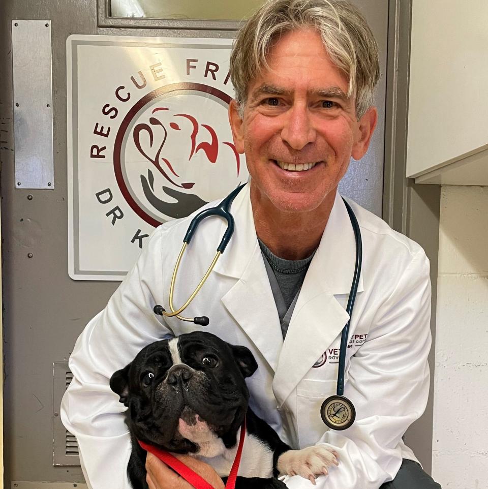 Veterinarian doctor Roy Kraemer holding a black bulldog.