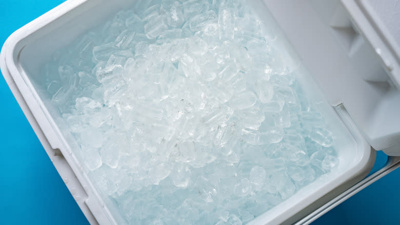 Cooler full of ice