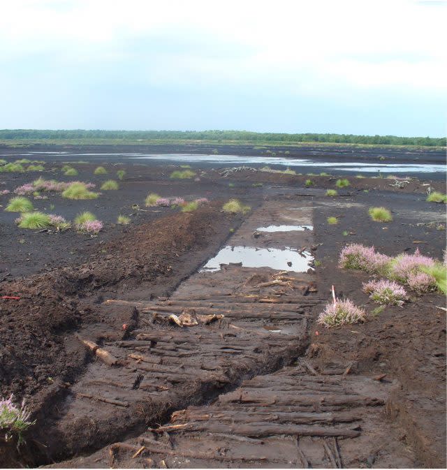 A Neolithic trackway and platform at Lindholme, Hatfield, Doncaster, South Yorkshire (Historic England/PA)