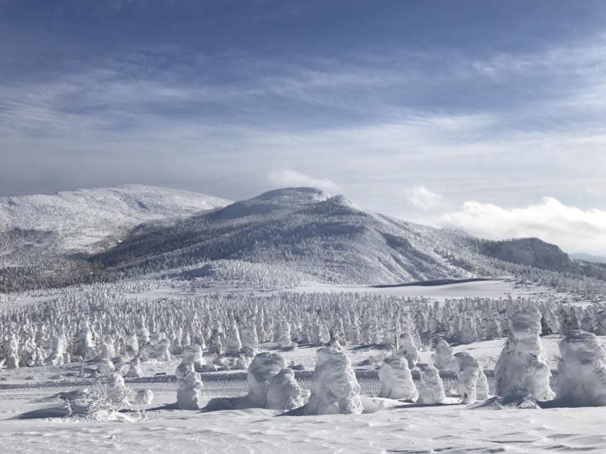 Japan Miyagi Zao Snow Monsters Day Tour from Sendai. (Photo: KKday Singapore)