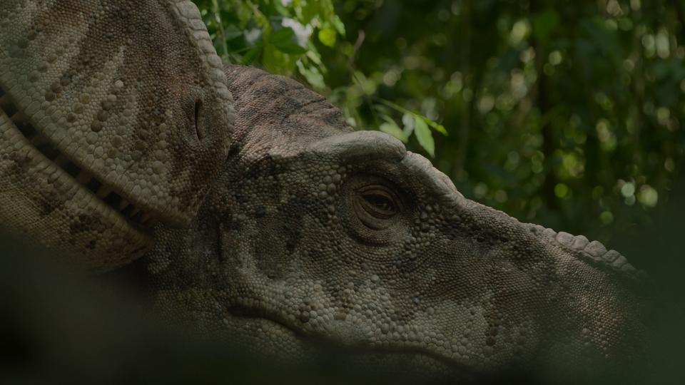 The T-Rex in nature during "Prehistoric Planet." The backgrounds were real, while the dinosaurs were created virtually.