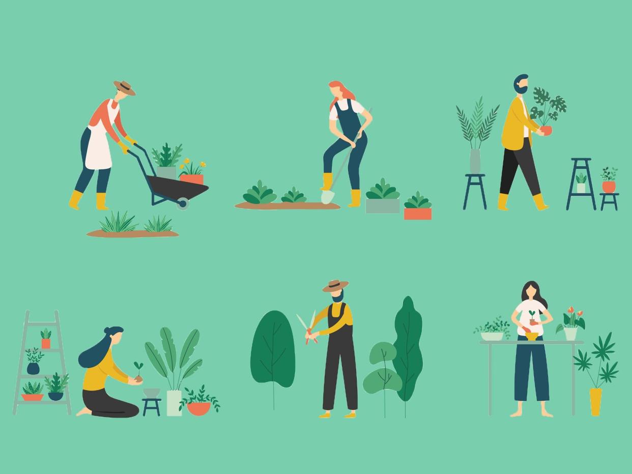 Gardening can be a rewarding hobby, so if you're new to it, these are the tools, seeds, bulbs and books you need (iStock)