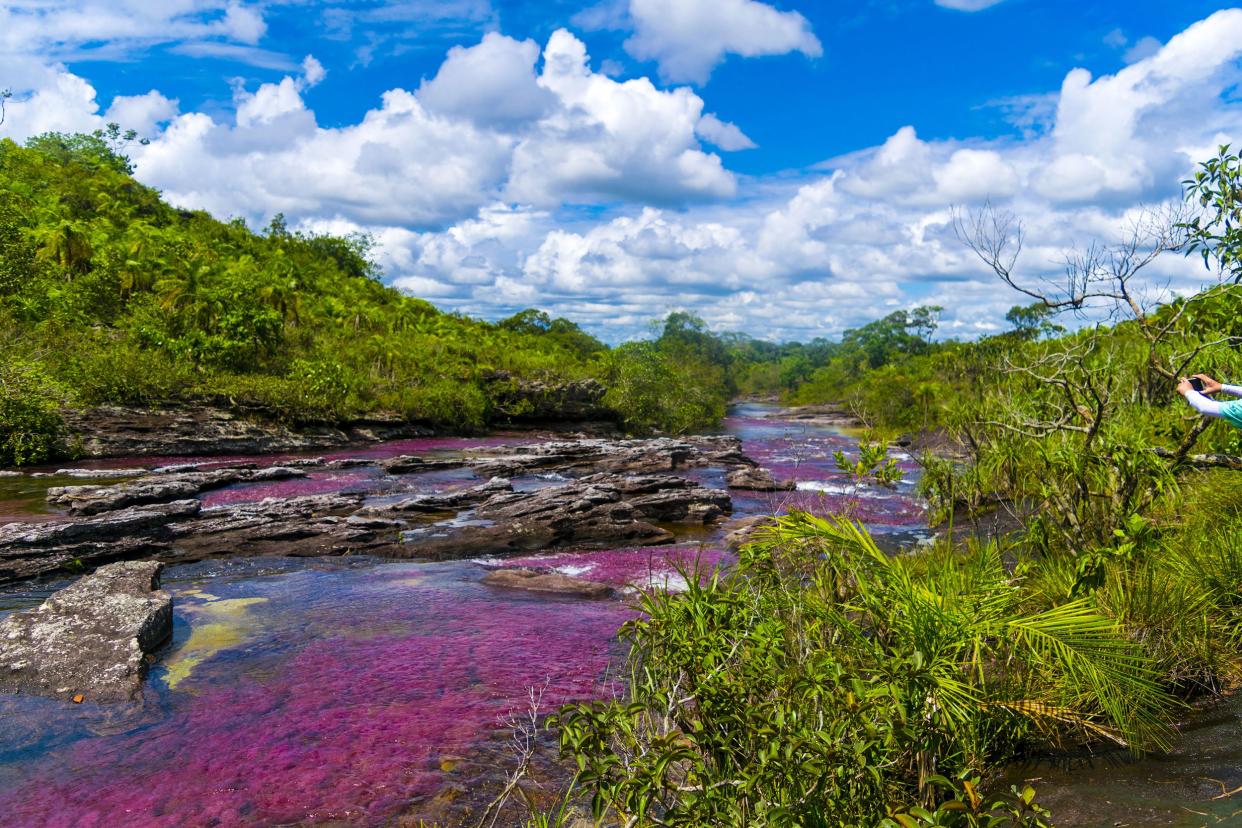 Caño Cristales, Colombia