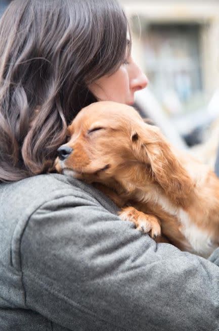 "Here's Dusty on his adoption day! This photo was taken the actual MOMENT I met him. Can you believe that!? When he was rescued by <a href="https://www.instagram.com/truenorthrescuemission/?hl=en" target="_blank">True North Rescue Mission</a>, he was on his way to be a puppy mill dad and live his entire life in a cage." -- <i>Jessie Ruane, Dusty's mom (Follow <a href="https://www.instagram.com/simply.dusty/?hl=en" target="_blank">him on Instagram</a>)</i>