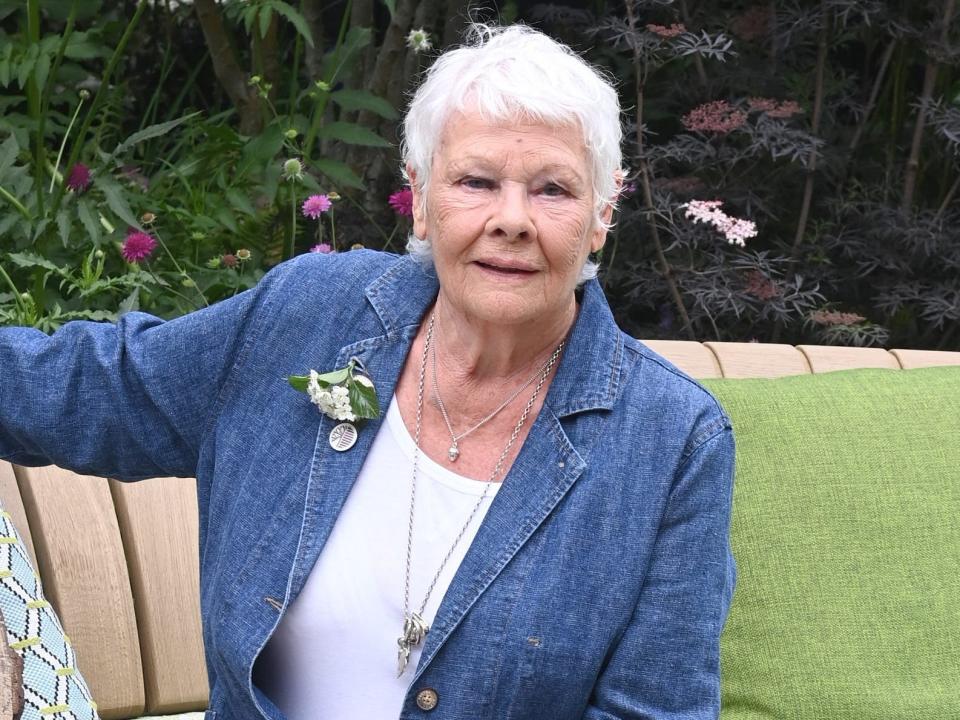 judi dench