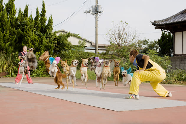 The Most Dogs Skipping on the Same Rope