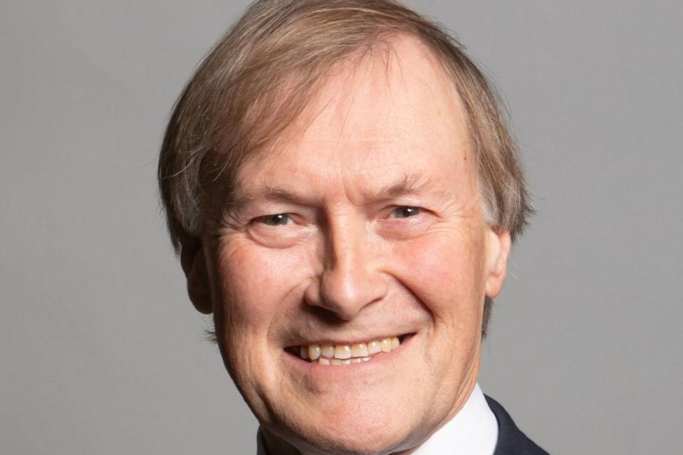 Sir David Amess (PA)