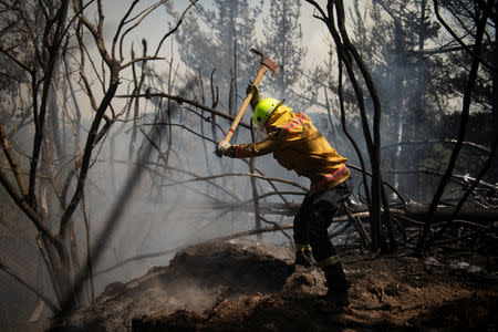 New Zealand Defence Force firefighters combat the Richmond fire near Nelson, South Island, New Zealand, February 8, 2019. Chad Sharman/New Zealand Defence Force/Handout via REUTERS