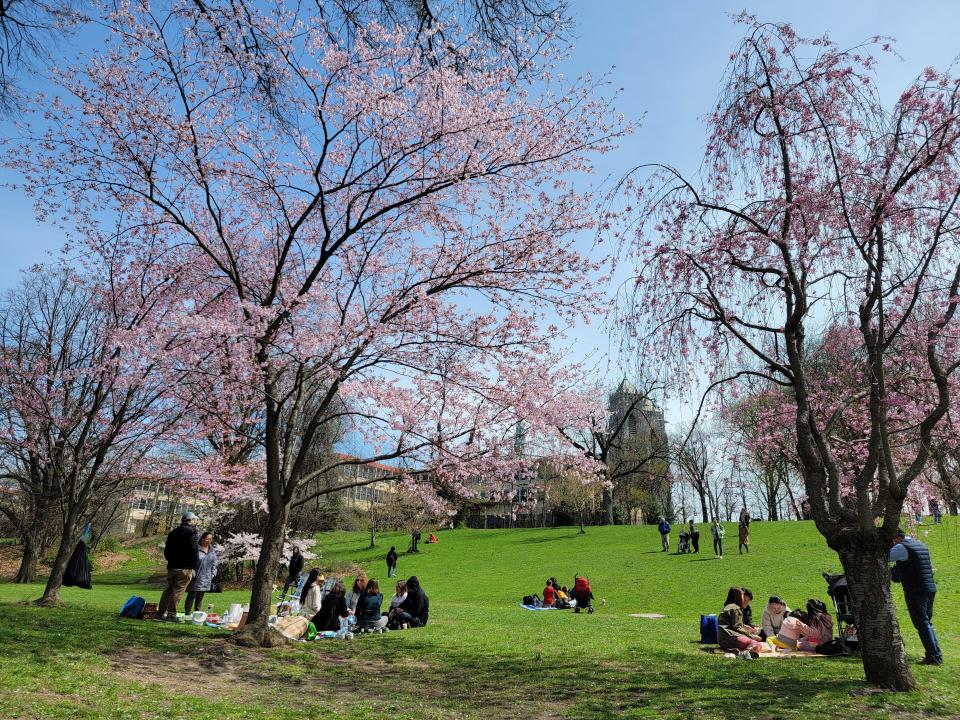 Multiple groups sit around picnic blankets spread out on a green hill with a French-gothic cathedral in the distance.