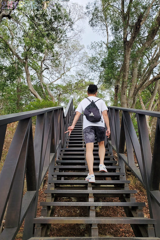 台中大坑六號七號登山步道