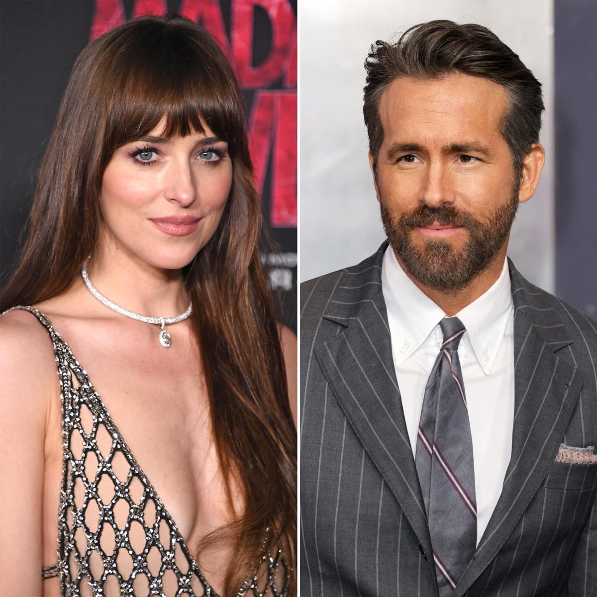 Actors Who Criticized Their Own Box Office Bombs: Dakota Johnson, Ryan ...