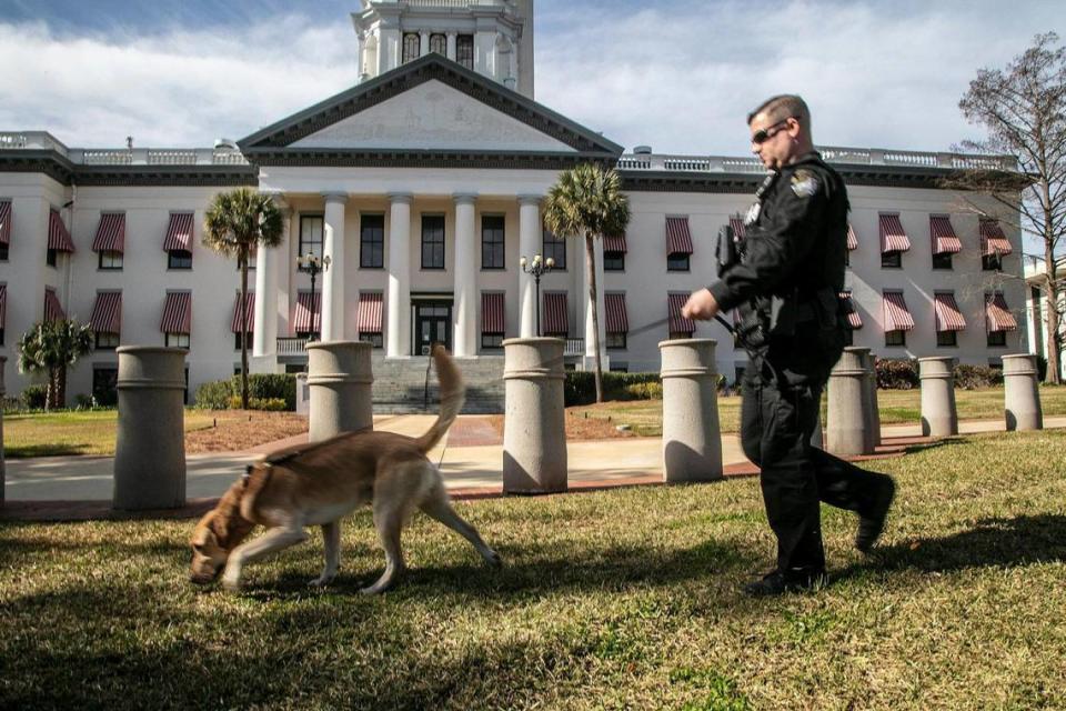 A K9 FDLE officer and his dog are seen in front of the old Capitol in Tallahassee early Sunday morning, Jan. 17, 2021. Different law enforcement agencies, including the Florida Highway Patrol joined Leon County Sheriff’s Office deputies at the Capitol in Tallahassee early Sunday.  Law enforcement has been on high alert for possible armed marches on state capitol buildings across the country after the FBI issued a bulletin about possible pro-Trump protests before the president leaves the White House. 