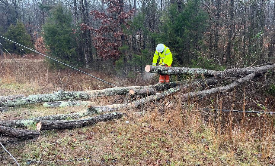 Tree and power line down via YCSO