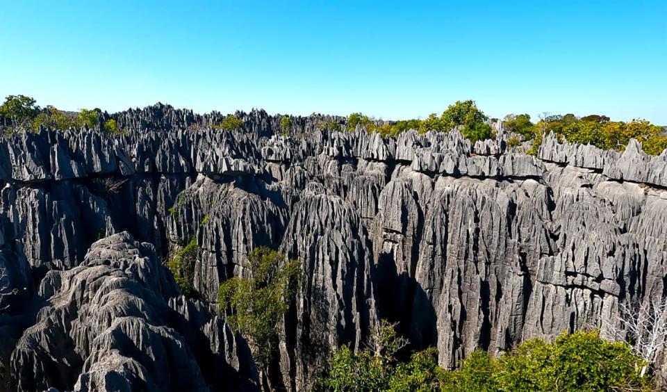 <div class="inline-image__caption"><p>A view from the peak of the Tsingy de Bemaraha</p></div> <div class="inline-image__credit">Jody Ray</div>