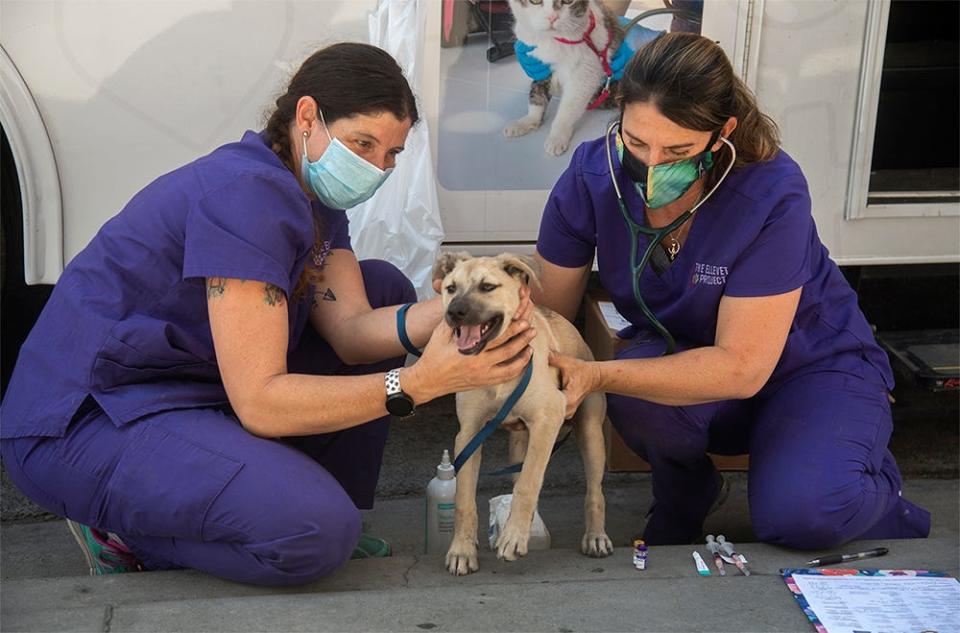 Certified veterinarian Darian Mosely, left, and veterinarian Dr. Gabrielle Rosa examine a 4-month-old dog named Baby at the Gospel Center Rescue Mission in south Stockton on July 22, 2021.