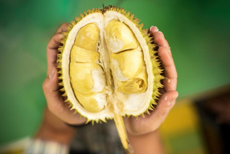 A small opened durian.