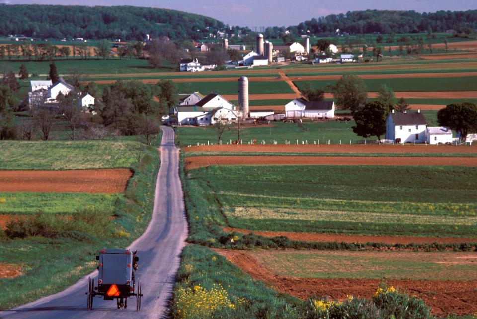 An Amish carriage in Lancaster County in 1985.