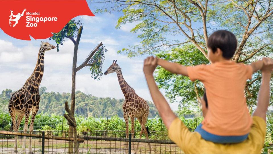 Singapore Zoo Ticket & Breakfast in the Wild Experience. (Photo: KKday MY)