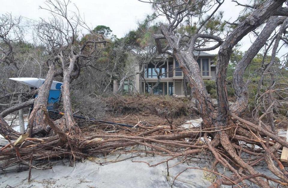 A catamaran, left, ended up on its side and entangled in these dead trees in front of a beachfront home along South Beach on Hilton Head Island after being washed there by the storm surge from Tropical Storm Irma on Monday. South Beach was badly eroded by Hurricane Matthew in 2016, and suffered another blow with Irma.