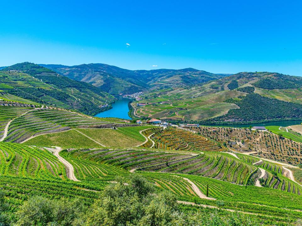 vineyards on mountains in the douro valley of Portugal