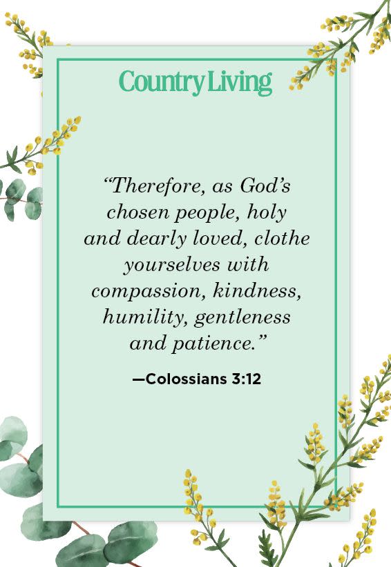 12) Colossians 3:12