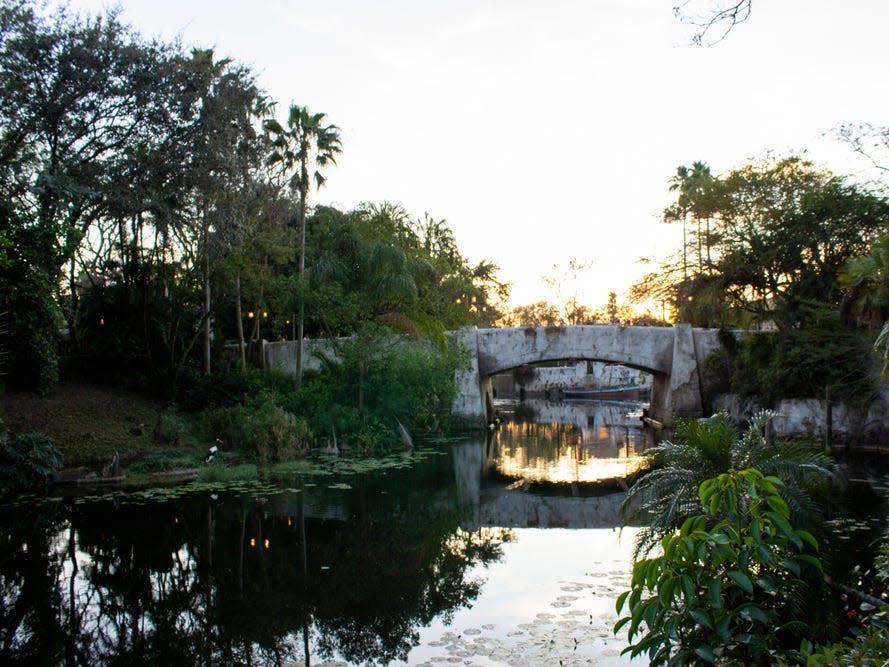 Disney World's Discovery Island.