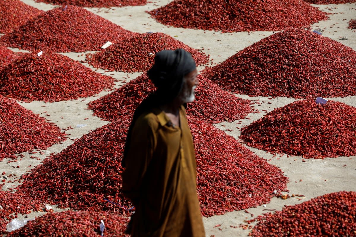 A man stands in front of mounds of red chilli pepper, at the Mirch Mandi wholesale market, in Kunri, Umerkot, Pakistan (Reuters)