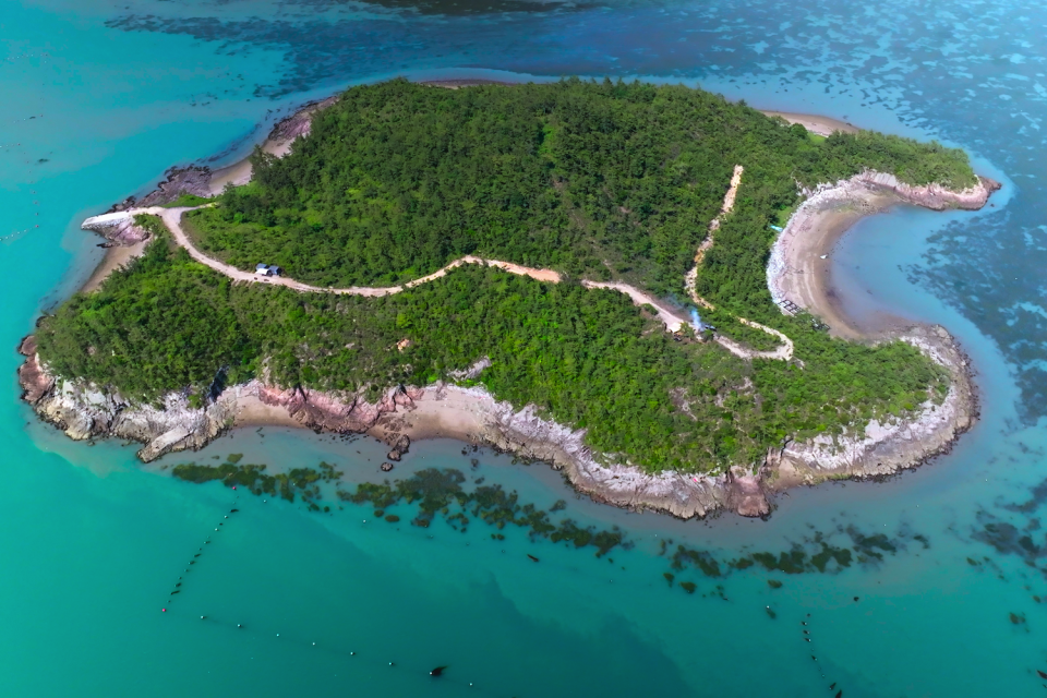 a tree-filled island in jeju, south korea, shown from above