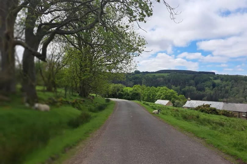 Sheep by the road to Beck Hole