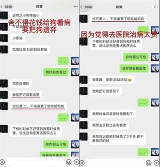 鄭爽想把生病的狗狗丟掉。(圖/翻攝自張恒微博)