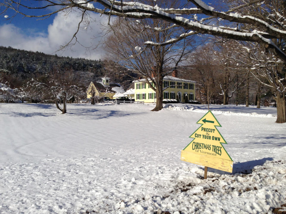 Vermont Christmas tree farm on sale for $1.5 million