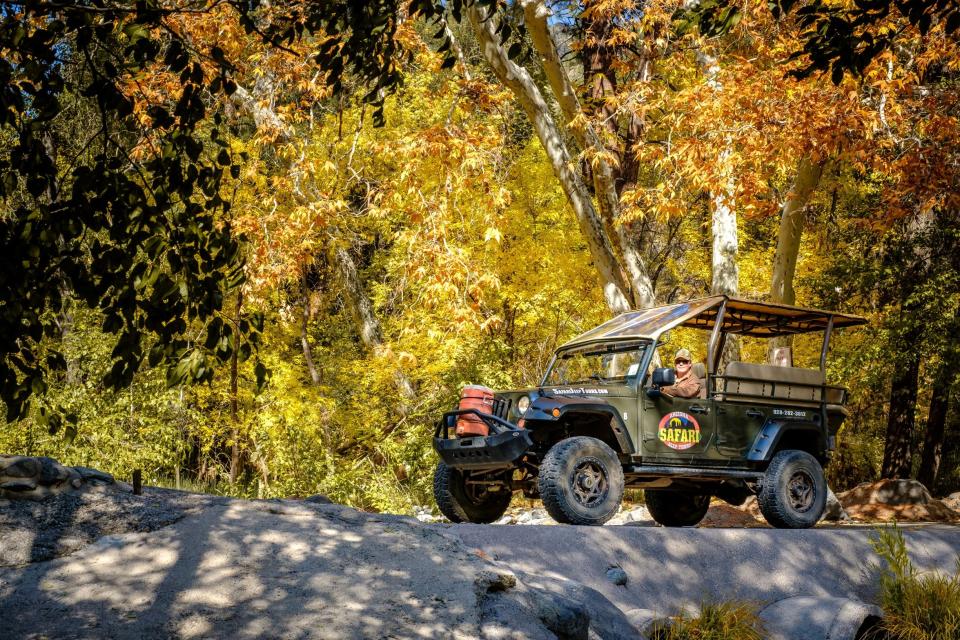 Arizona Safari Jeep Tours in Sedona takes guests off-roading in Red Rock Country