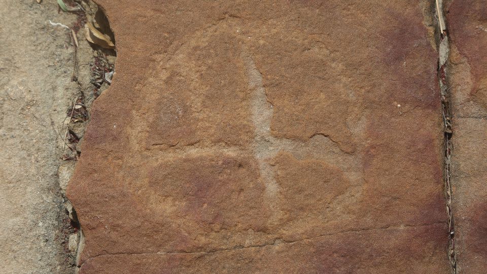 According to Troiano, this petroglyph is the most striking and visible in the region.  The circle is divided internally by lines and has large dimensions.  -Leonardo Troiano