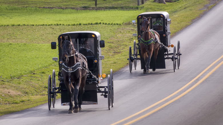 horse carriages in the countryside