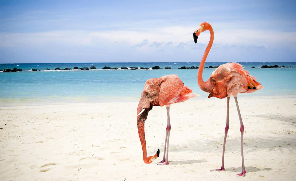 Flamingophants. <a href="http://i.imgur.com/uy81Bcb.jpg" rel="nofollow noopener" target="_blank" data-ylk="slk:Photo;elm:context_link;itc:0;sec:content-canvas" class="link ">Photo</a> created by <a href="http://www.reddit.com/user/Yo-L" rel="nofollow noopener" target="_blank" data-ylk="slk:Yo-L;elm:context_link;itc:0;sec:content-canvas" class="link ">Yo-L</a>.