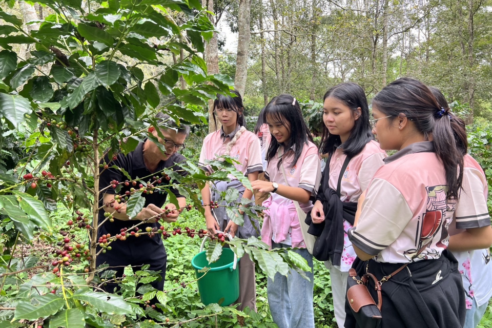 國立暨南國際大學在咖啡林上課