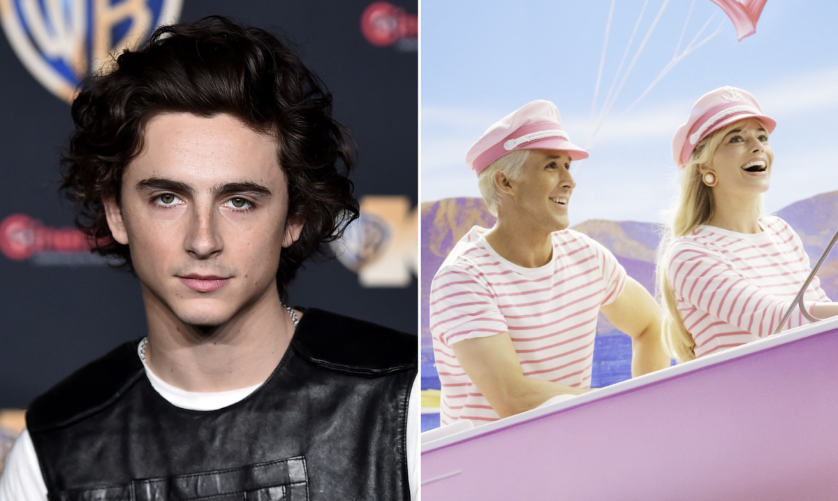 I mean, I'm not their mom: Timothée Chalamet Regrets Saying No to Greta  Gerwig, Visited Margot Robbie's 'Barbie' Set After a Big Career Blunder -  FandomWire