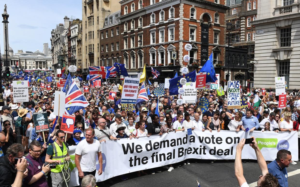 Organisers said 100,000 people had attended the People's Vote March in central London: EPA