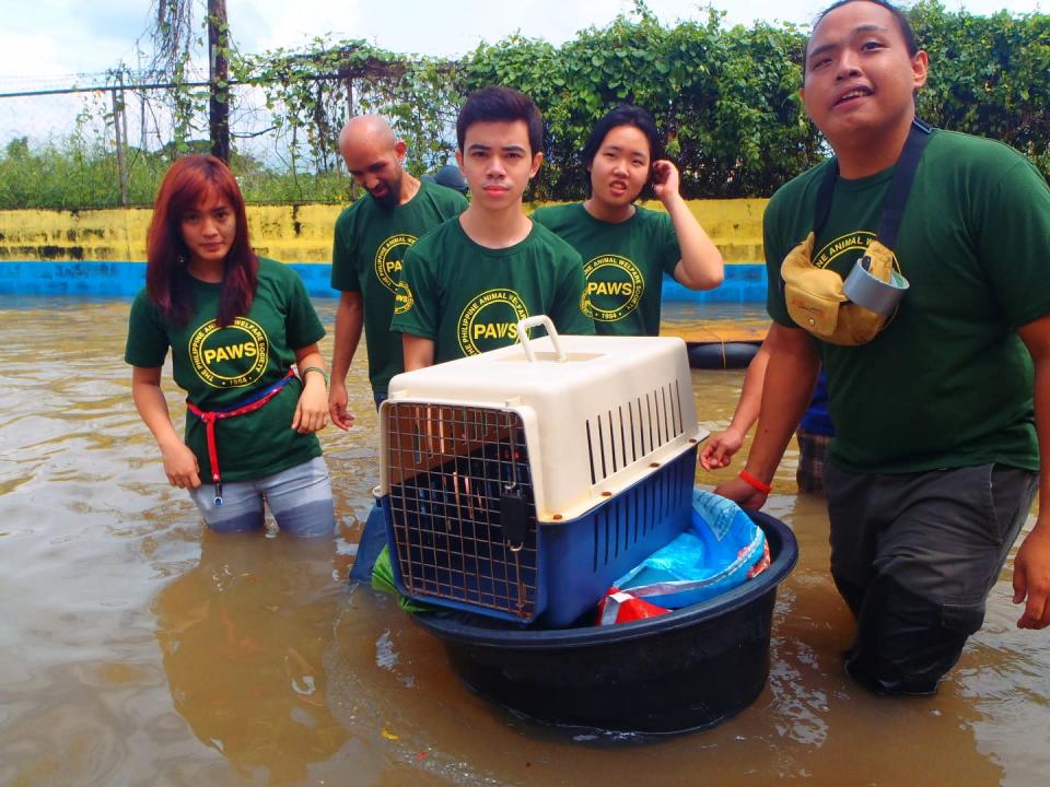 PAWS volunteers in Cainta, Rizal (Photo courtesy of PAWS)