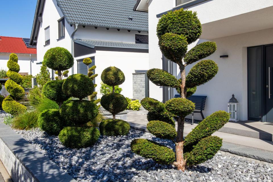 modern and well kept front garden with exceptionally beautiful planting