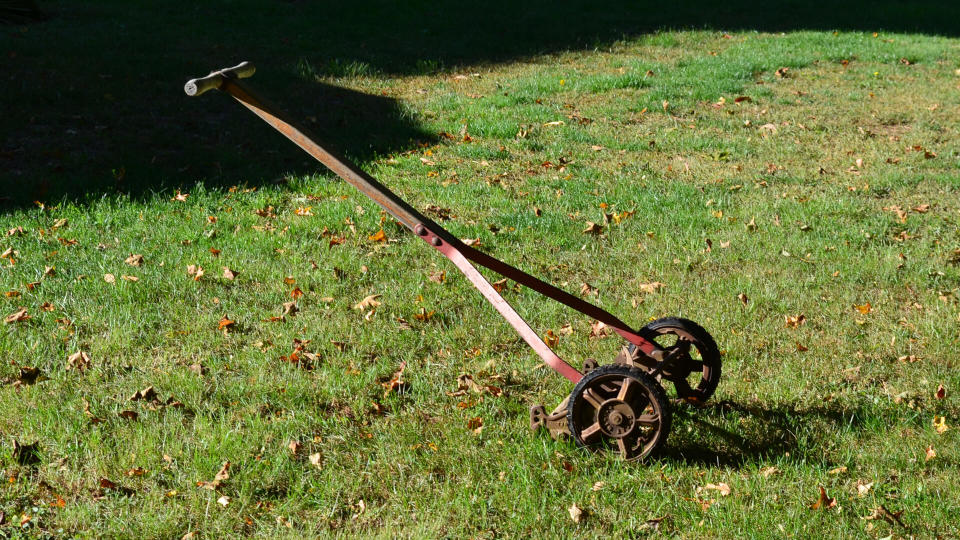 A very old reel type lawn mower - Image.