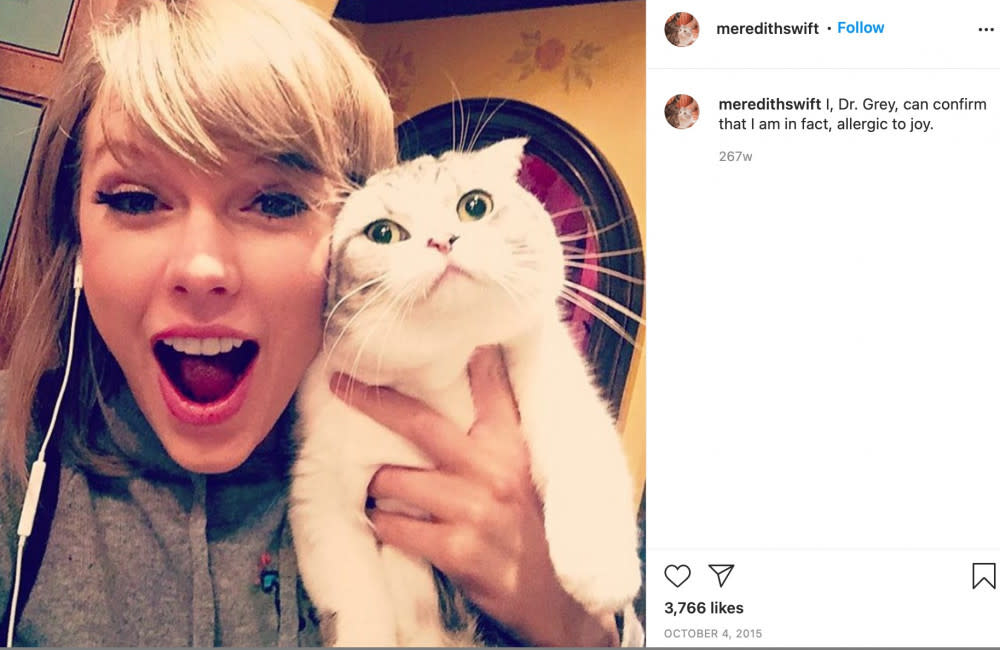 Taylor Swift's cats suffer from a serious condition (c) Instagram credit:Bang Showbiz