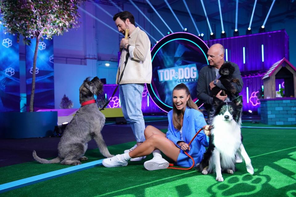 Dass "Top Dog Germany - Der beste Hund Deutschlands" eine Art "Ninja Warrior" für Vierbeiner ist, darauf weist bereits das altbekannte bekannte Moderationsteam hin: Jan Köppen (links), Laura Wontorra und Frank "Buschi" Buschmann führen durch die neue RTL-Show, in der sich höchst unterschiedliche Hund-Herrchen/Frauchen-Duos bewähren müssen. (Bild: TVNOW / Stefan Gregorowius)