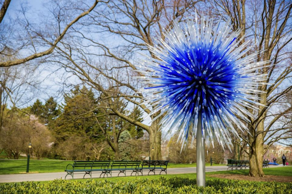 Chihuly, entre el genio atormentado y el incansable creador