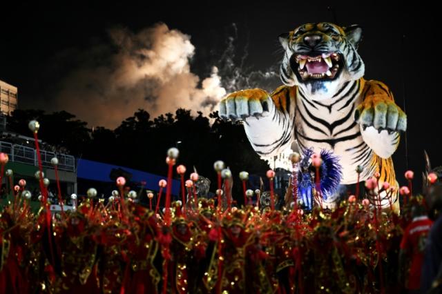Everyone jumping, everyone happy': Rio celebrates carnival