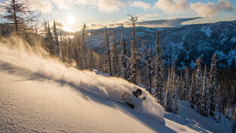 Imagine yourself skiing through fine Canadian powder at Whitewater Ski Resort in British Columbia. You've got a good chance of finding some. - Kari Medig/Destination BC